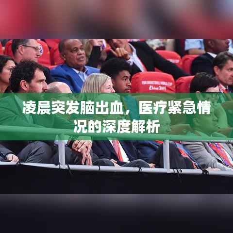 凌晨突发脑出血,医疗紧急情况的深度解析