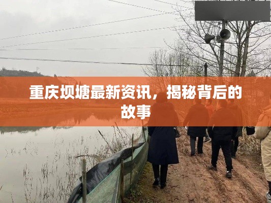 重庆坝塘最新资讯,揭秘背后的故事