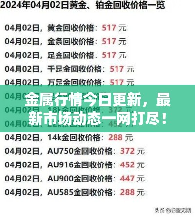 金属行情今日更新,最新市场动态一网打尽!