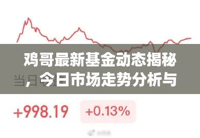 鸡哥最新基金动态揭秘,今日市场走势分析与操作建议