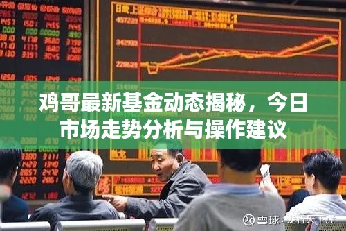 鸡哥最新基金动态揭秘,今日市场走势分析与操作建议