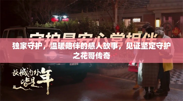 独家守护,温暖陪伴的感人故事,见证坚定守护之花哥传奇
