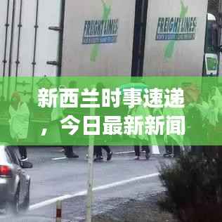 新西兰时事速递,今日最新新闻动态