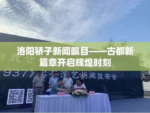 洛阳骄子新闻瞩目——古都新篇章开启辉煌时刻