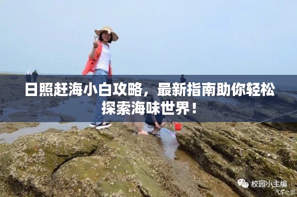 日照赶海小白攻略,最新指南助你轻松探索海味世界!