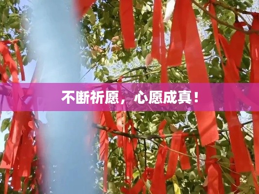 不断祈愿,心愿成真!