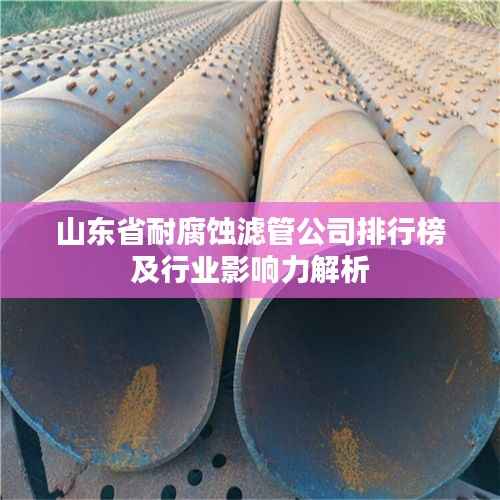 山东省耐腐蚀滤管公司排行榜及行业影响力解析