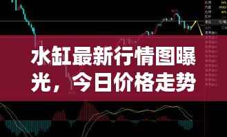 水缸最新行情图曝光,今日价格走势及分析报告