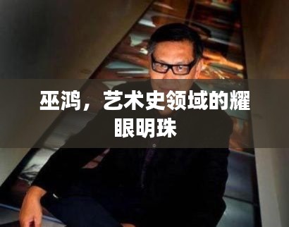 巫鸿,艺术史领域的耀眼明珠