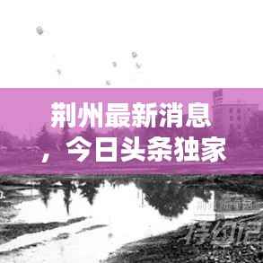 荆州最新消息,今日头条独家爆料!