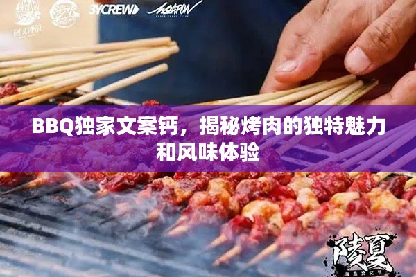 BBQ独家文案钙,揭秘烤肉的独特魅力和风味体验