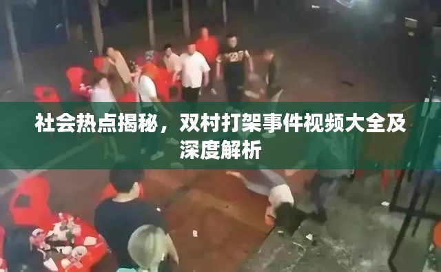 社会热点揭秘,双村打架事件视频大全及深度解析