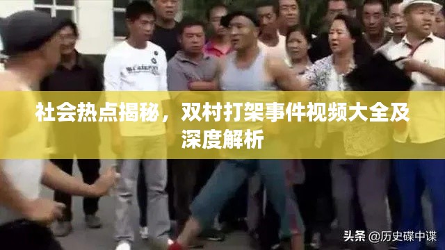 社会热点揭秘,双村打架事件视频大全及深度解析