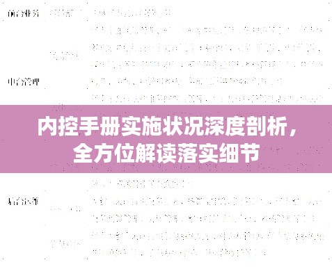内控手册实施状况深度剖析,全方位解读落实细节