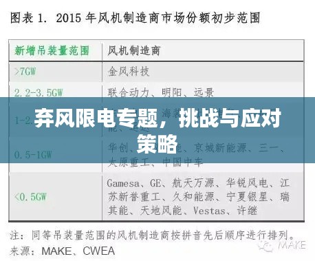弃风限电专题,挑战与应对策略