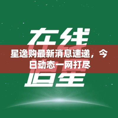 星逸购最新消息速递,今日动态一网打尽
