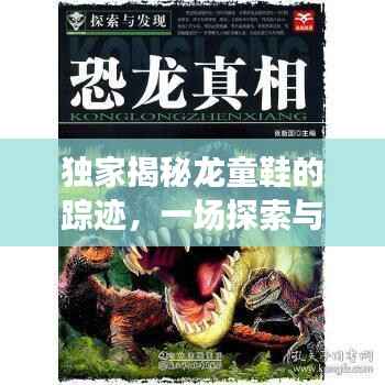 独家揭秘龙童鞋的踪迹,一场探索与发现的冒险之旅