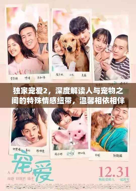 独家宠爱2,深度解读人与宠物之间的特殊情感纽带,温馨相依相伴!