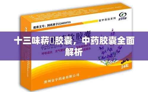 十三味菥蓂胶囊,中药胶囊全面解析