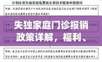 失独家庭门诊报销政策详解,福利、申请及解读一网打尽!
