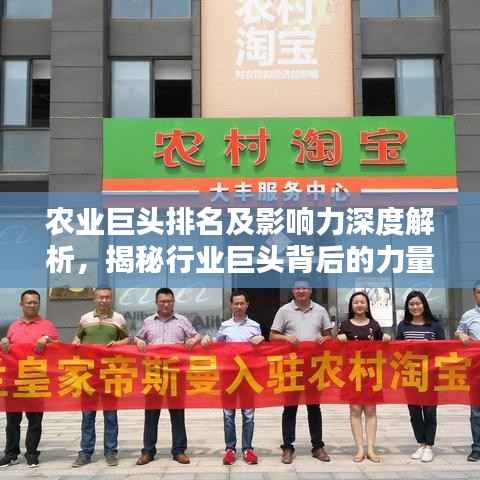 农业巨头排名及影响力深度解析,揭秘行业巨头背后的力量