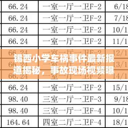 锡西小学车祸事件最新报道揭秘,事故现场视频曝光