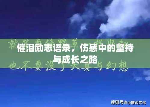催泪励志语录，伤感中的坚持与成长之路