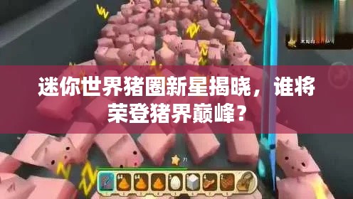 迷你世界猪圈新星揭晓,谁将荣登猪界巅峰?