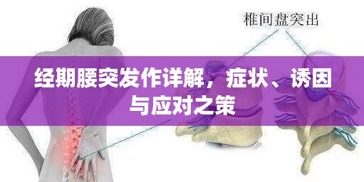 经期腰突发作详解,症状、诱因与应对之策