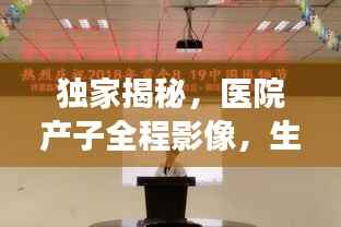 独家揭秘,医院产子全程影像,生命诞生神圣瞬间见证