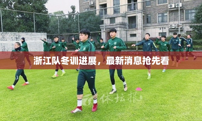 浙江队冬训进展,最新消息抢先看