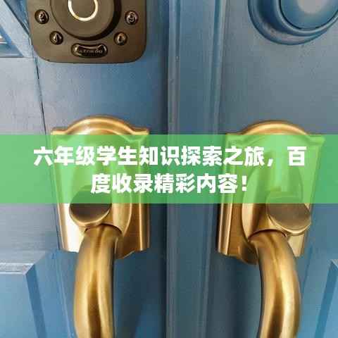 六年级学生知识探索之旅,百度收录精彩内容!