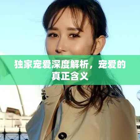 独家宠爱深度解析,宠爱的真正含义
