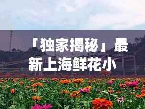 「独家揭秘」最新上海鲜花小镇游玩攻略,让你畅游花海世界!