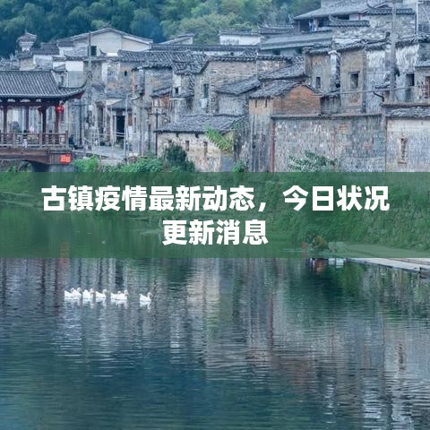 古镇疫情最新动态,今日状况更新消息