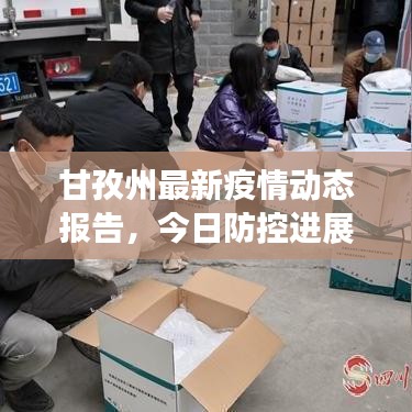 甘孜州最新疫情动态报告,今日防控进展与疫情情况分析