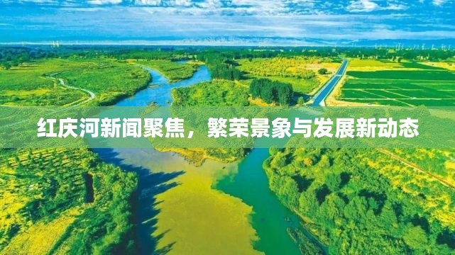 红庆河新闻聚焦,繁荣景象与发展新动态