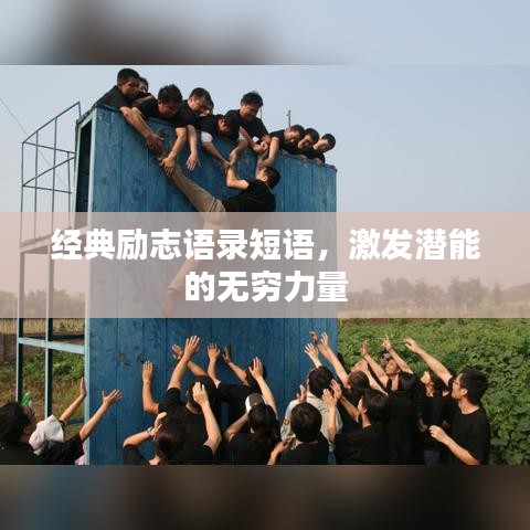 关于我们 第95页