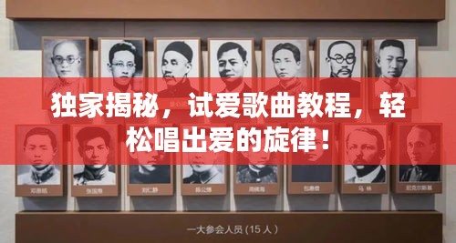 独家揭秘,试爱歌曲教程,轻松唱出爱的旋律!