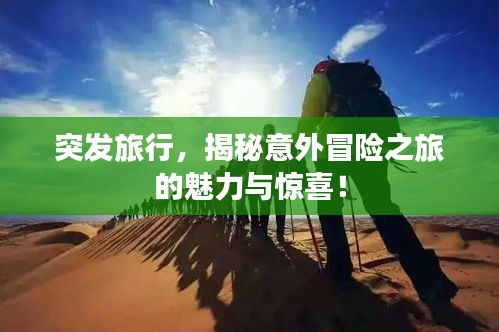 突发旅行,揭秘意外冒险之旅的魅力与惊喜!