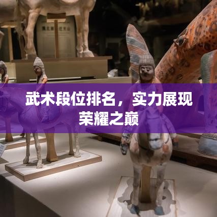 武术段位排名,实力展现荣耀之巅