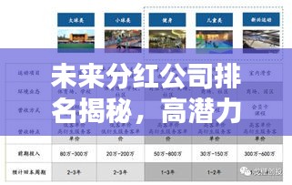 未来分红公司排名揭秘,高潜力投资领域的新机遇一览