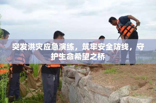 突发洪灾应急演练,筑牢安全防线,守护生命希望之桥