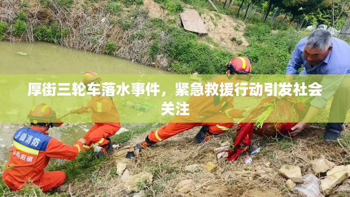 厚街三轮车落水事件,紧急救援行动引发社会关注