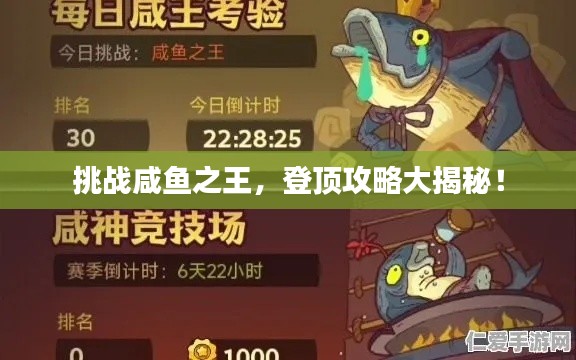 挑战咸鱼之王,登顶攻略大揭秘!