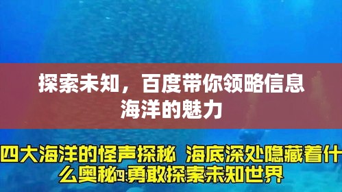 探索未知，百度带你领略信息海洋的魅力