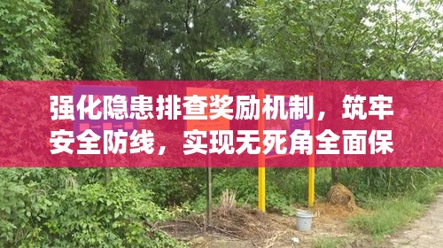 强化隐患排查奖励机制，筑牢安全防线，实现无死角全面保障