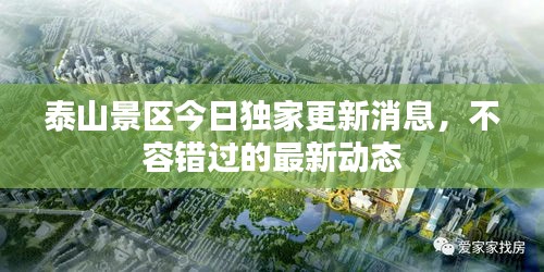 泰山景区今日独家更新消息,不容错过的最新动态